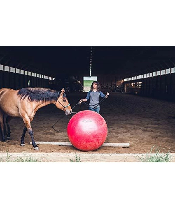 Weaver Leather Stacy Westfall Activity Ball, Large, Red - Image 4