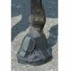 Intrepid International Penn Equine Natural Hoof Shoe Size 0