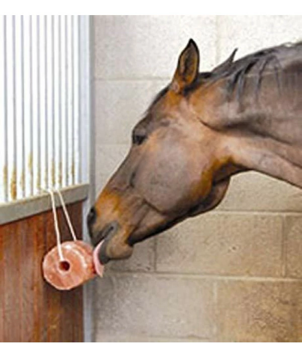 Indusclassic Himalayan Animal Licking Pink Salt Lick Horse Cattles Pure With Minerals (4 LB) - Image 2