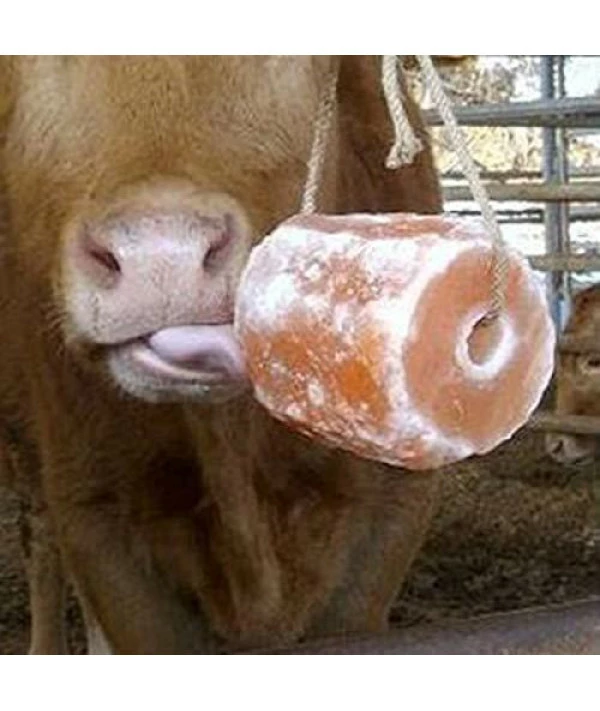 Indusclassic Himalayan Animal Licking Pink Salt Lick Horse Cattles Pure With Minerals (4 LB) - Image 3