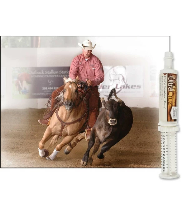 UltraCruz Equine Bio-Absorb Supplement For Horses, 60 Ml, Paste (1/4 Day Supply) - Image 3