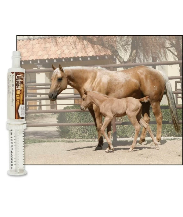 UltraCruz Equine Bio-Absorb Supplement For Horses, 60 Ml, Paste (1/4 Day Supply) - Image 4