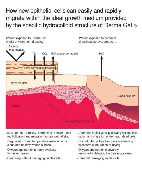 Veterinus Derma GeL? Tube 100mL - 3.4 Fl.oz. X 5 Tubes (PRO-Pack $10 Saving) - Image 4