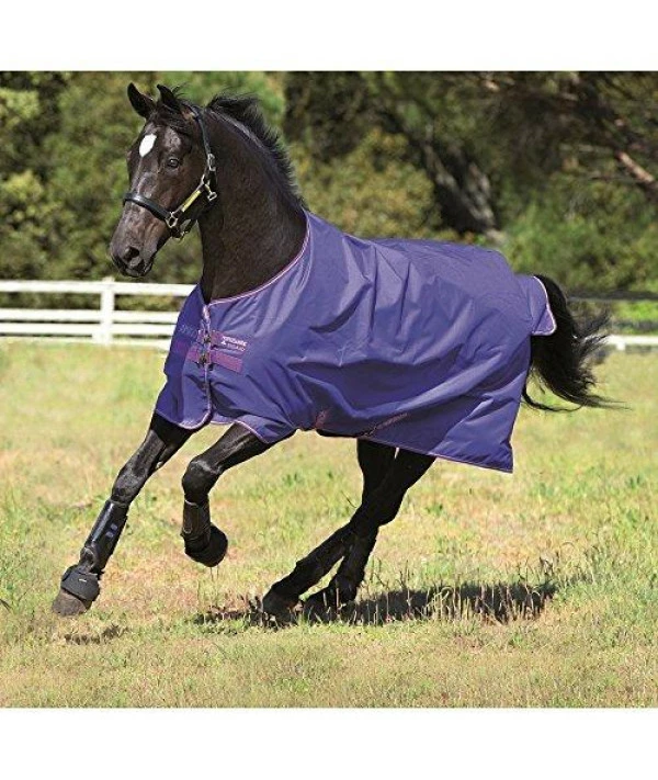 Horseware Ireland Horseware Amigo Hero 6 Turnout Sheet 81 Purple - Image 4