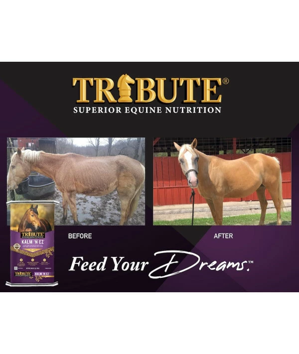 TRIBUTE Kalmbach Feeds Kalm 'N Ez Pellets For Horse, 50 Lb - Image 4