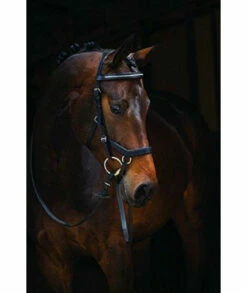 Horseware Rambo Micklem Competition Bridle Black Small Horsecob
