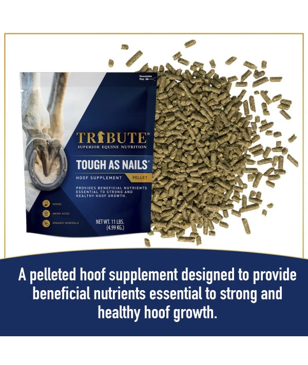 Tribute Tough As Nails 11lbs Pelleted Hoof Supplement - Image 3