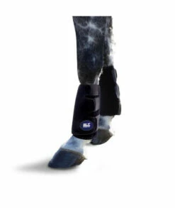 Ice Horse Single Tendon Leg Wrap For Equine Therapy - Comes With 2 Ice Packs