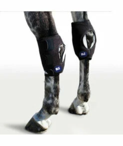 Ice Horse Single Hock Wraps For Equine Therapy - Comes With 3 Ice Packs
