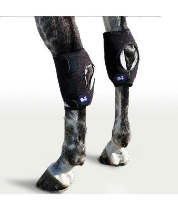 Ice Horse Single Hock Wraps For Equine Therapy - Comes With 3 Ice Packs