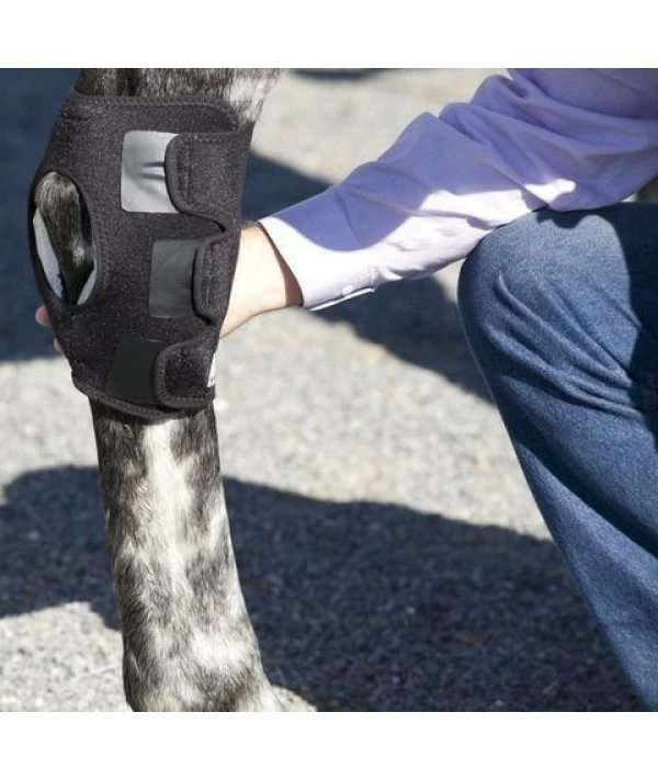 Ice Horse Single Hock Wraps For Equine Therapy - Comes With 3 Ice Packs - Image 3