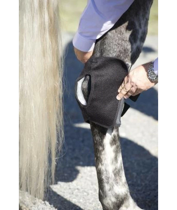 Ice Horse Single Hock Wraps For Equine Therapy - Comes With 3 Ice Packs - Image 4