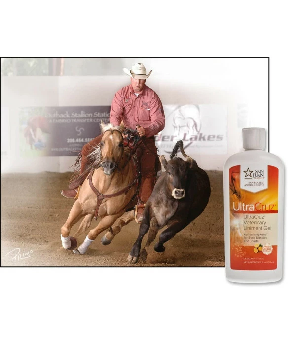 UltraCruz - Sc-516110 Veterinary Liniment Gel For Horses, 12 Oz - Image 2