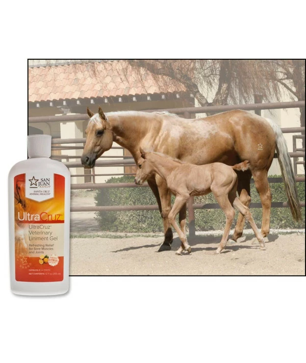 UltraCruz - Sc-516110 Veterinary Liniment Gel For Horses, 12 Oz - Image 3