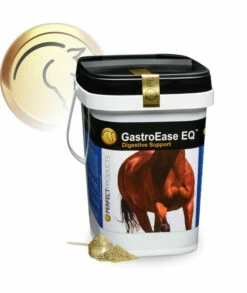 Perfect Company GastroEase 5 Pound