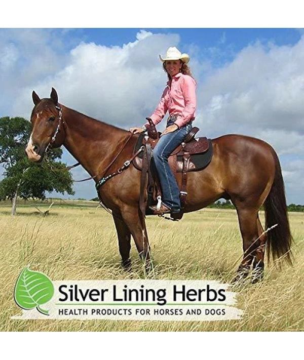 Silver Lining Herbs Herbal Horse Wormer | Natural Horse Wormer Supports Your Equines Natural Defense System To Destroy Or Expel Unwanted Parasites | 3 Ounce (1 Dose) | Made In The USA - Image 5