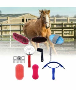 Yosoo Horse Grooming Kit, Horse Cleaning Tool Application Horseback Care Horse Brush Curry Comb Sweat Scraper Comb Grooming Riding Equipment For Beginners