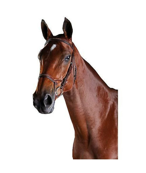 Collegiate Comfitec Fancy Stitch Bridle Wrmbld Bro