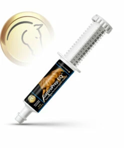 GastroPrep EQ Horse Digestive Fast-Acting Gastric Jitters Relief Paste, 60cc