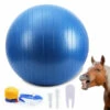 Herding Ball For Horse, 40 Anti-Burst Giant Soccer Ball Toy For Horses, Pump Included