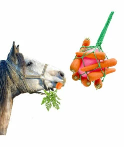 Horse Treat Ball Carrot Feeder Toy Hanging Feeding Toy Goat Feeder Ball For Horse Goat Sheep Relieve Stress, Horse Stable Stall Paddock Rest